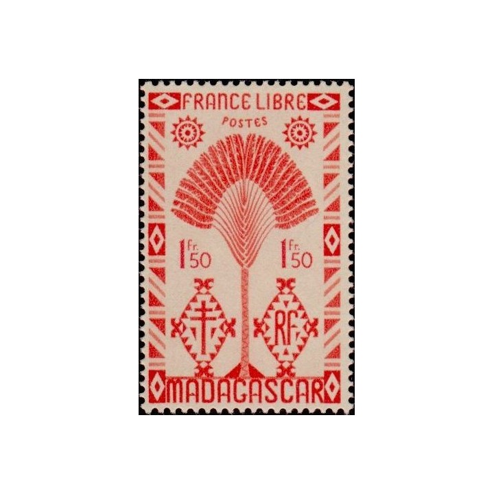 Madagascar - 272