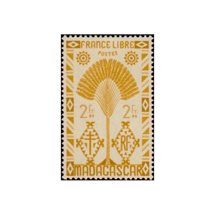 Madagascar - 273