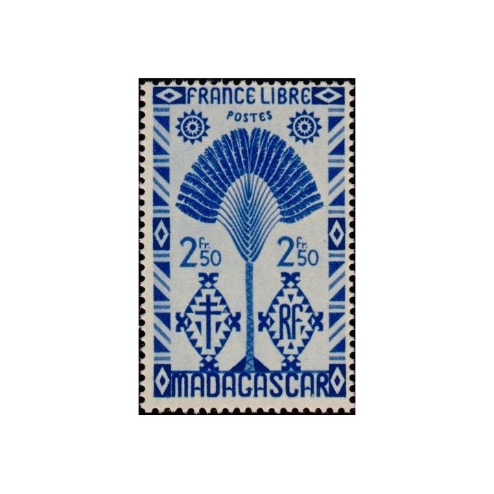 Madagascar - 274