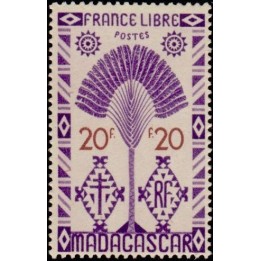 Madagascar - 278