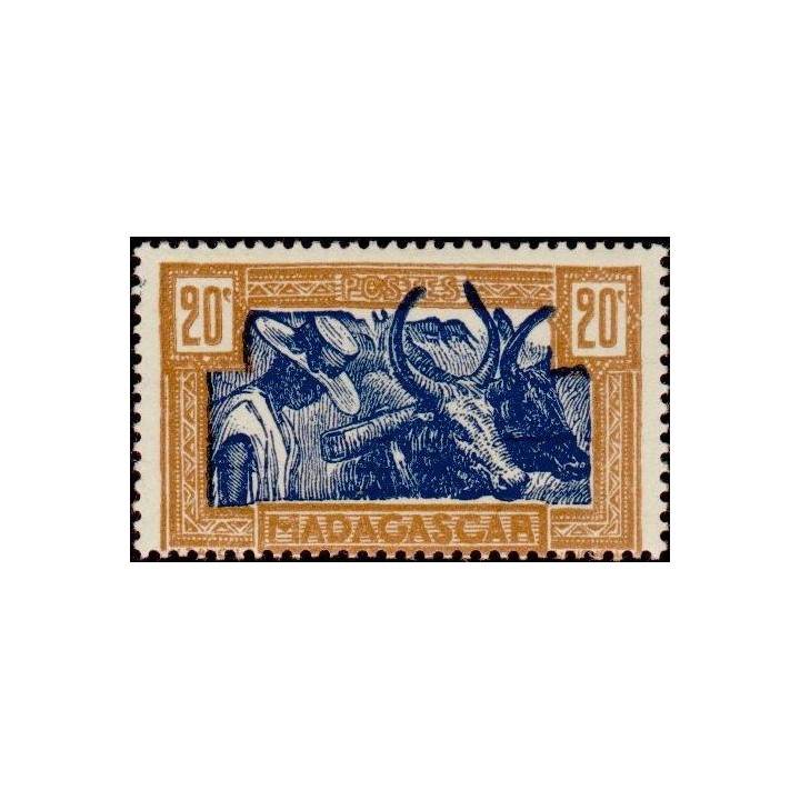Madagascar - 279