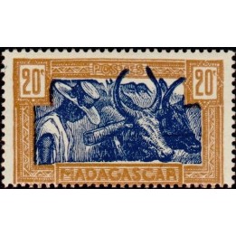 Madagascar - 279