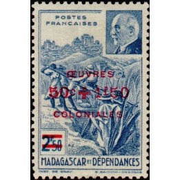 Madagascar - 284
