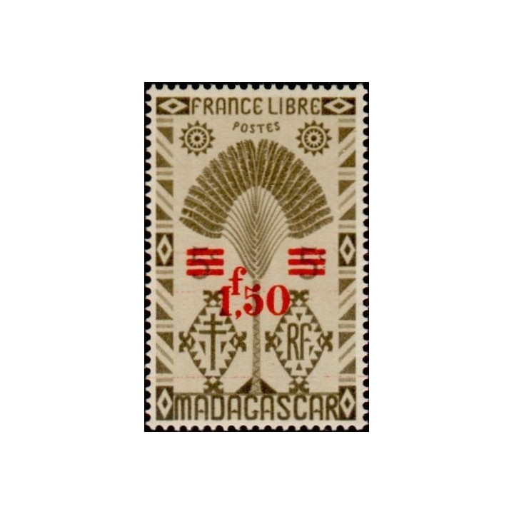 Madagascar - 286