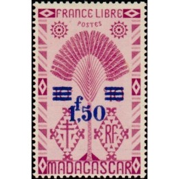Madagascar - 287