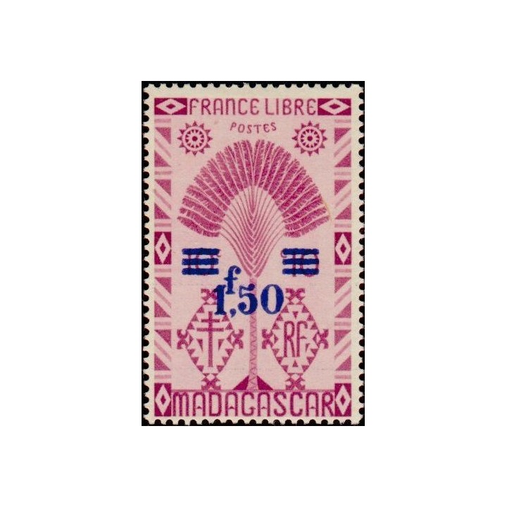 Madagascar - 287