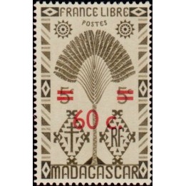 Madagascar - 291