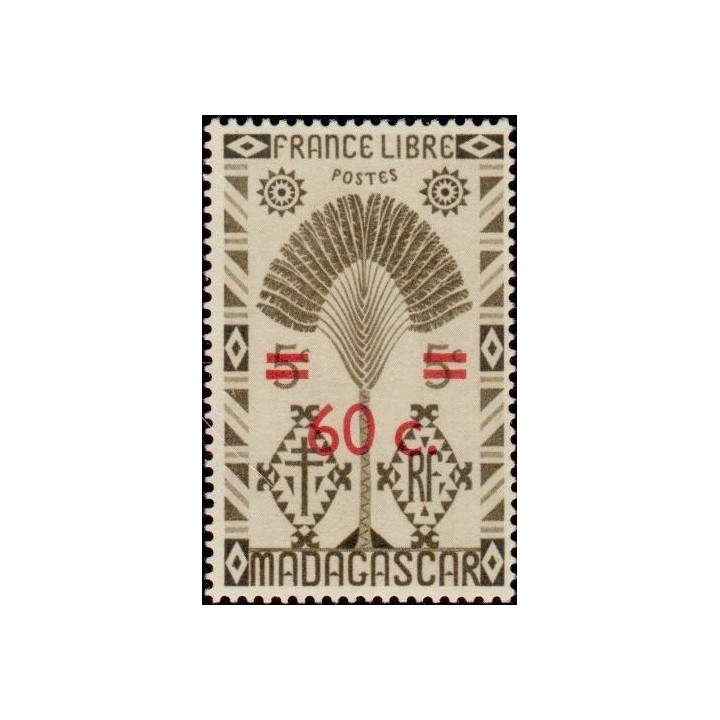 Madagascar - 291
