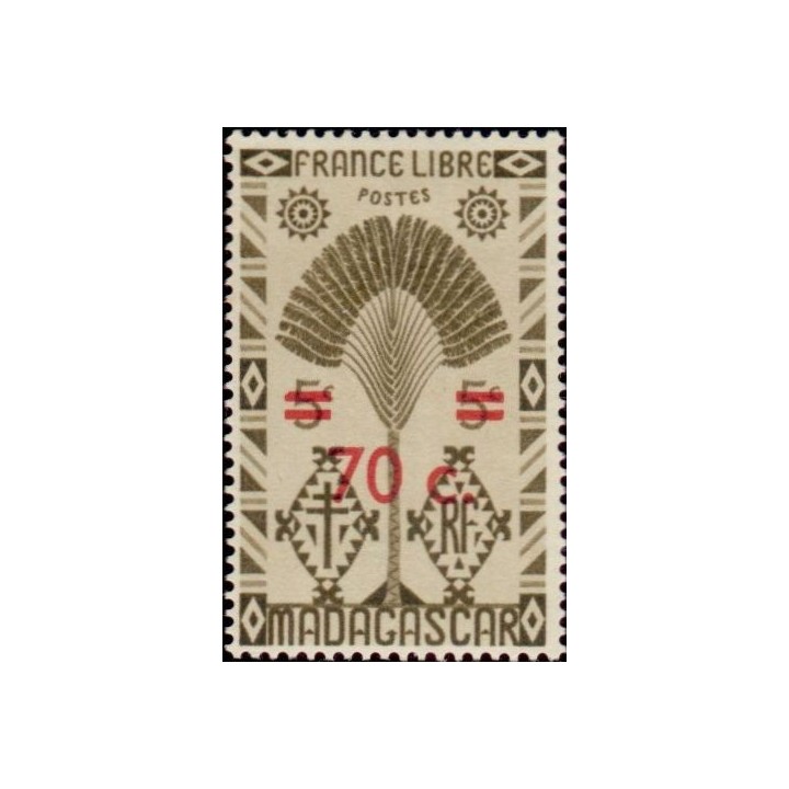 Madagascar - 292