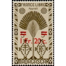 Madagascar - 293