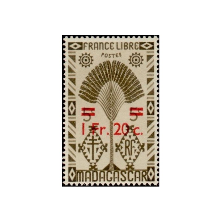 Madagascar - 293
