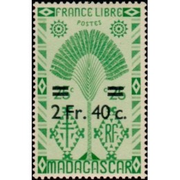 Madagascar - 294
