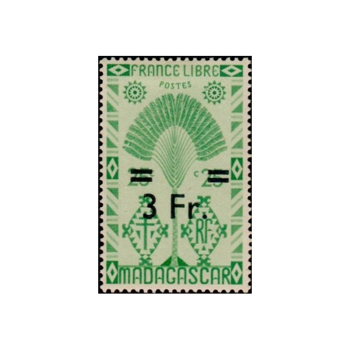 Madagascar - 295