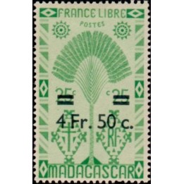 Madagascar - 296