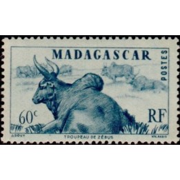 Madagascar - 304