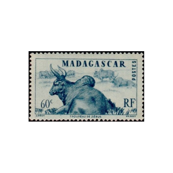 Madagascar - 304