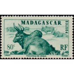 Madagascar - 305