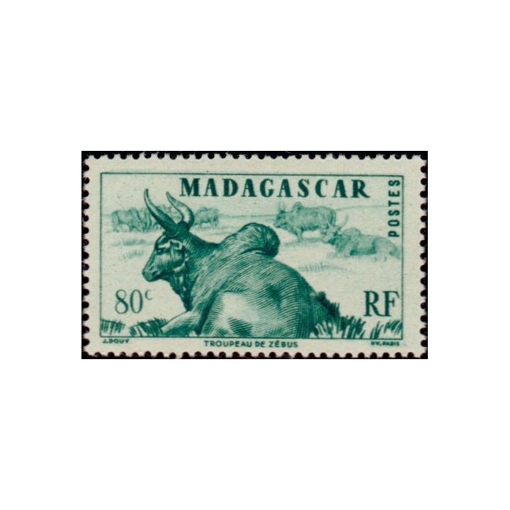 Madagascar - 305