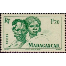 Madagascar - 307