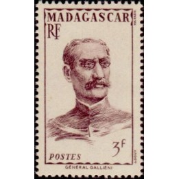 Madagascar - 310