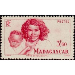 Madagascar - 311