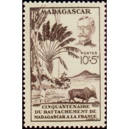 Madagascar - 319