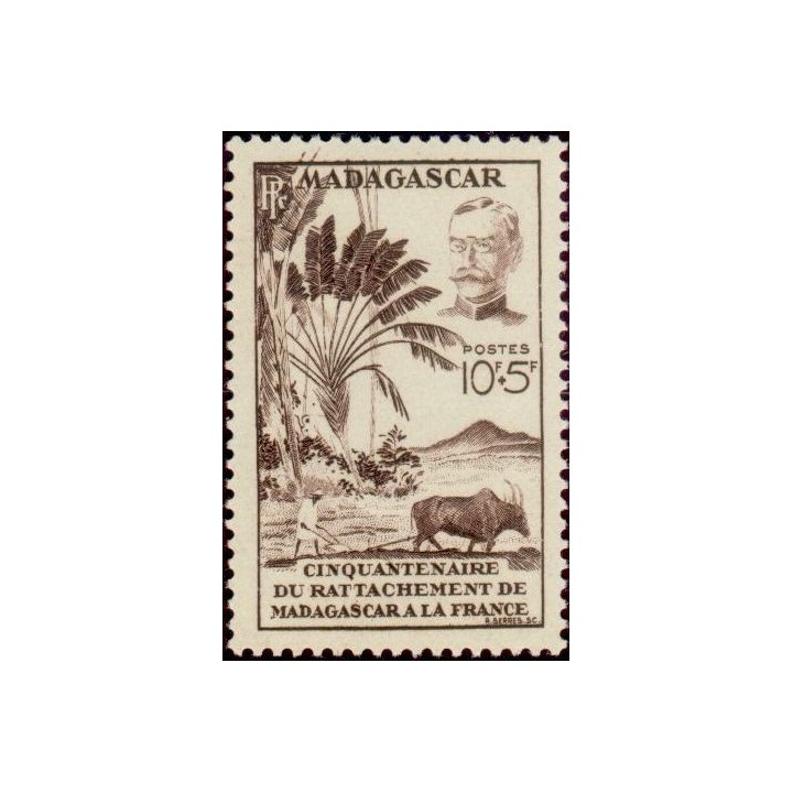 Madagascar - 319