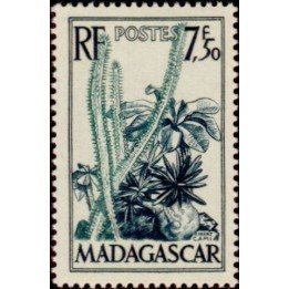 Madagascar - 322