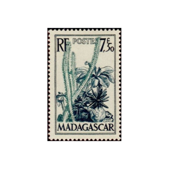 Madagascar - 322