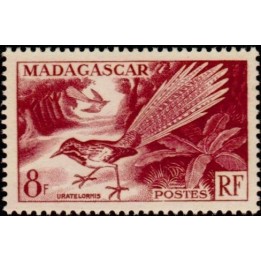 Madagascar - 323