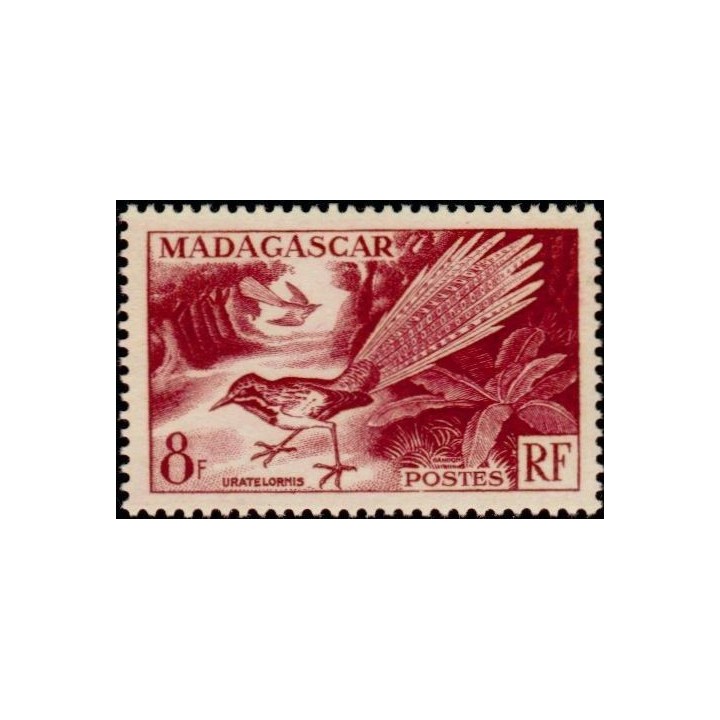 Madagascar - 323