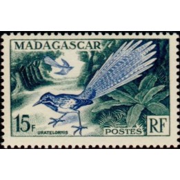 Madagascar - 324