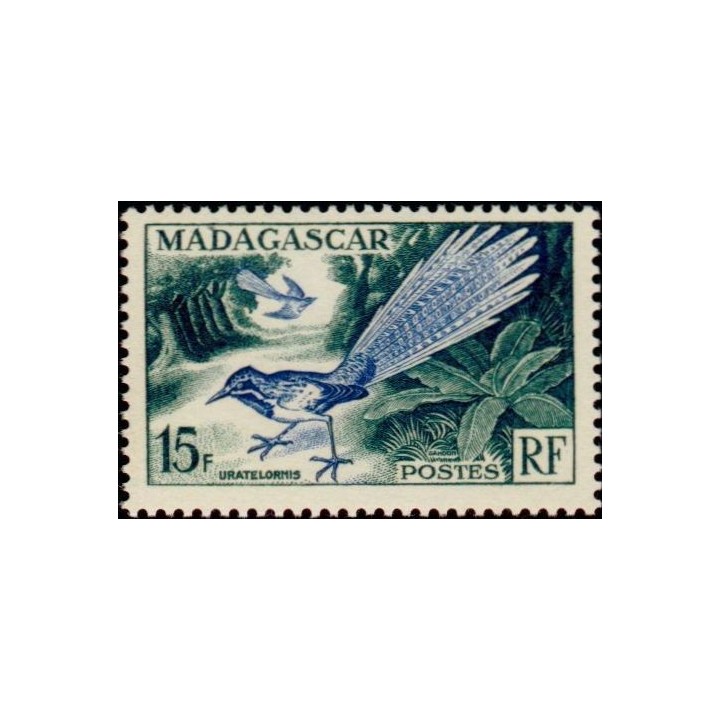Madagascar - 324