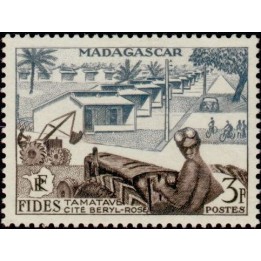 Madagascar - 327