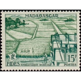Madagascar - 330