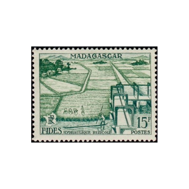Madagascar - 330