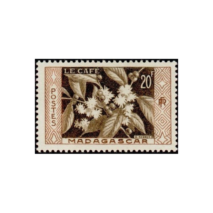 Madagascar - 331