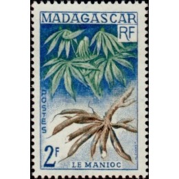 Madagascar - 332