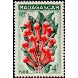 Madagascar - 333