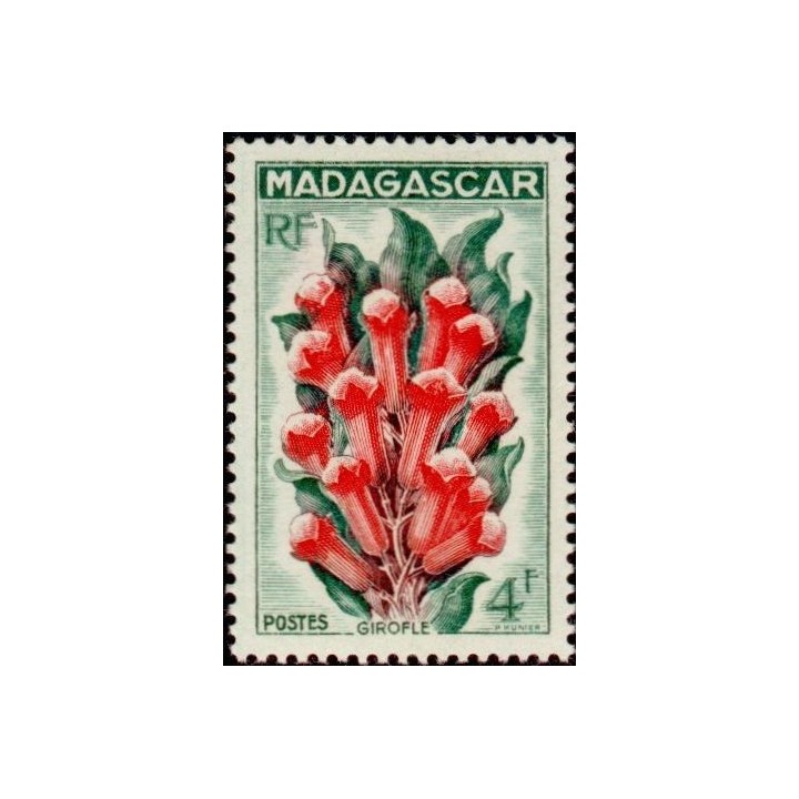 Madagascar - 333