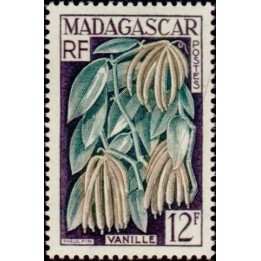 Madagascar - 334