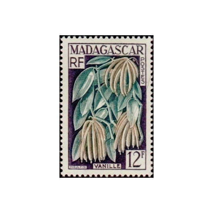 Madagascar - 334