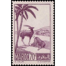 Maroc - 177