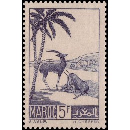 Maroc - 196