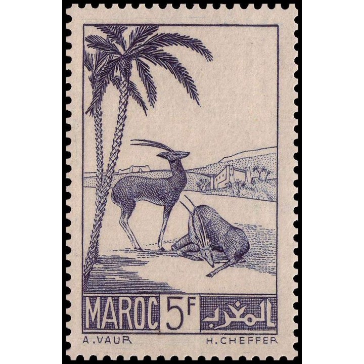 Maroc - 196