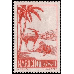 Maroc - 197