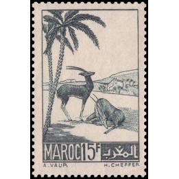 Maroc - 198