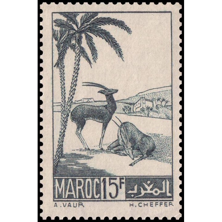 Maroc - 198