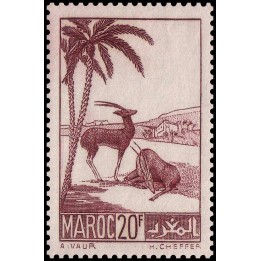 Maroc - 199