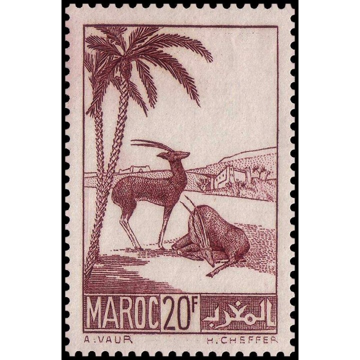 Maroc - 199